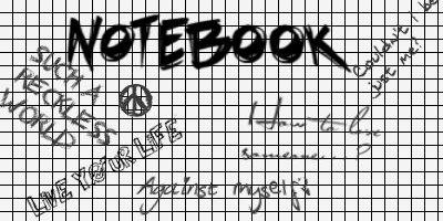 Silver's Notebook Notebo10