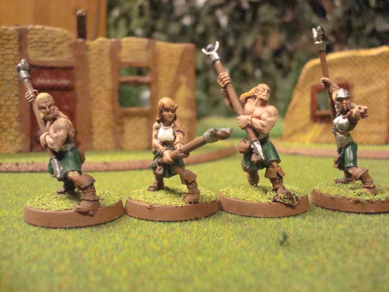 An Ostlander warband from Albion Dsc01115