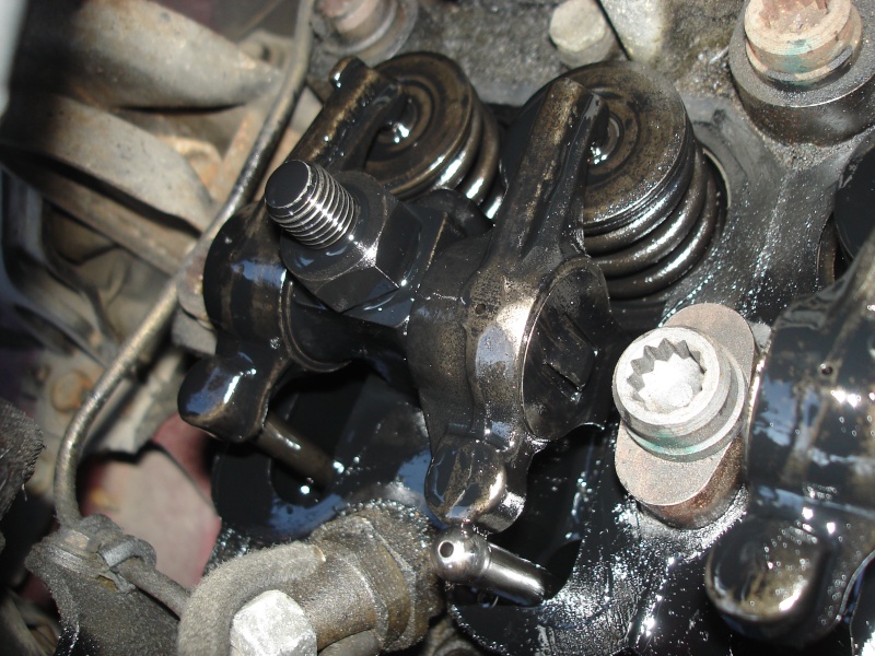 Moteur fume côté vase expans, bruit de marteau comme si il était en échappement libre Dsc01914