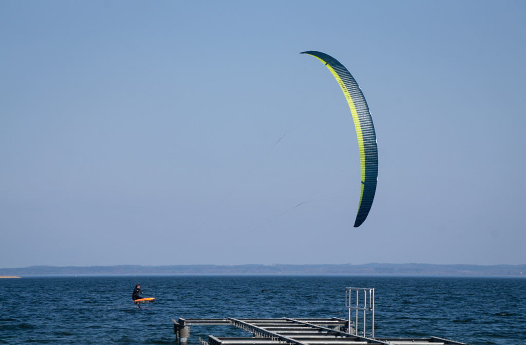 Aile très haut ratio chez FS Therea12