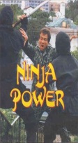 Arrêtez de jeter vos vieilles VHS: Ninja-10
