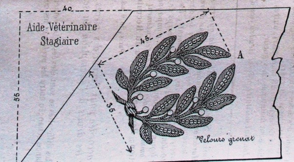 dolman - Le dolman dans l'armée française 1871-1914 Aide_s10