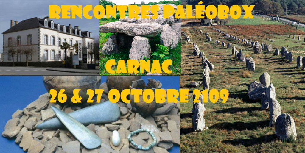 Rencontres PALEOBOX à CARNAC (26 & 27 octobre 2019) Carnac11