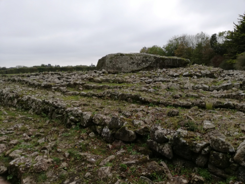 Rencontres PALEOBOX à CARNAC (26 & 27 octobre 2019) - Page 4 Img_2087