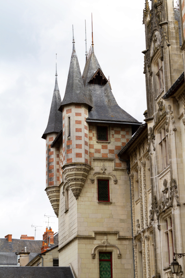 Saumur, sa région, son chateau ... ses vins Saumur13