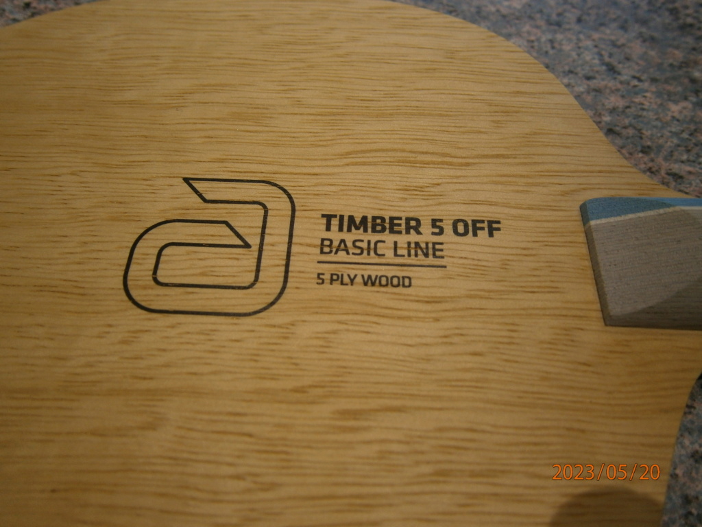 bois andro timber 5 NEUF concave P5200015