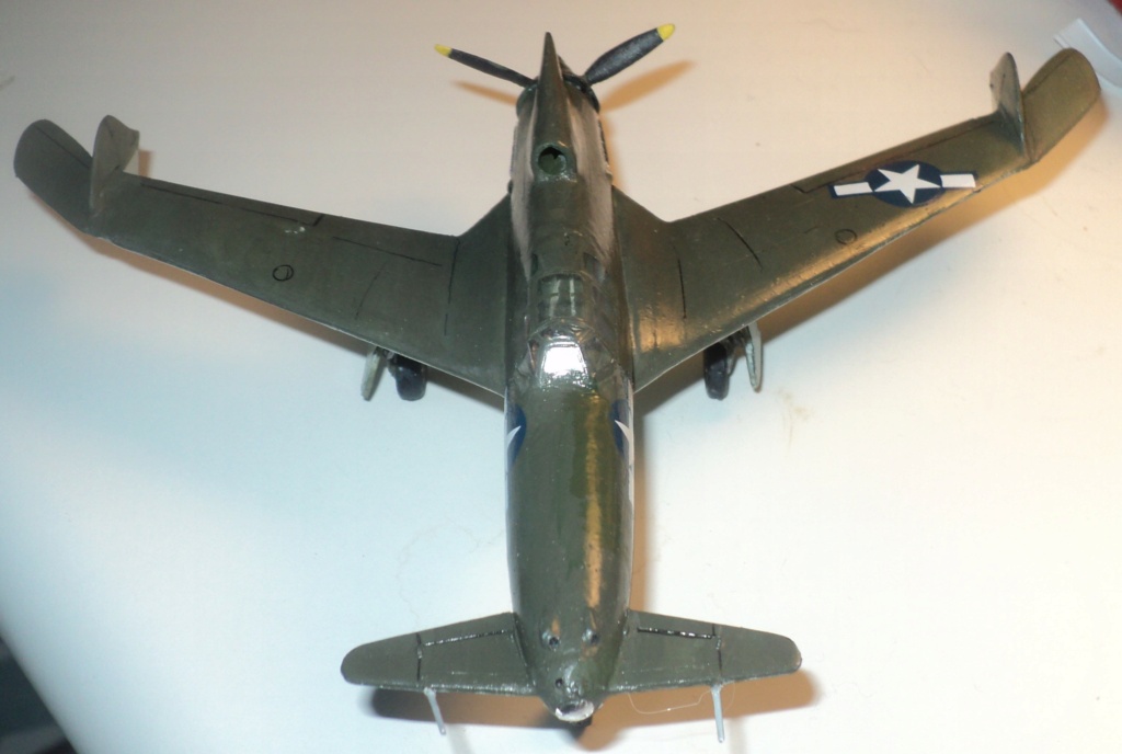 CURTISS XP 55 ASCENDER - Page 2 Dsc08950