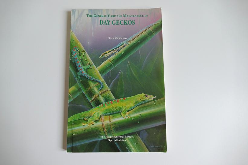 Gecko de Madagascar Dg1-110