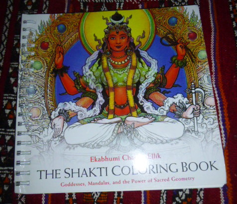 The Sakhti coloring book A310
