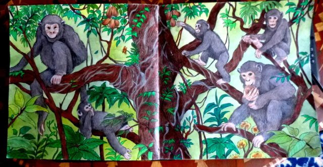 Défi du mois de Janvier 2022 : coloriage pas terminé en 2021 - Page 4 Singes10