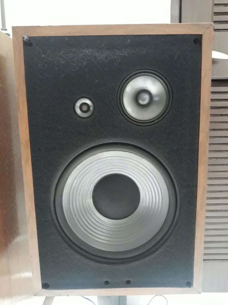 Robertson Audio Vintage Speaker Vintag12