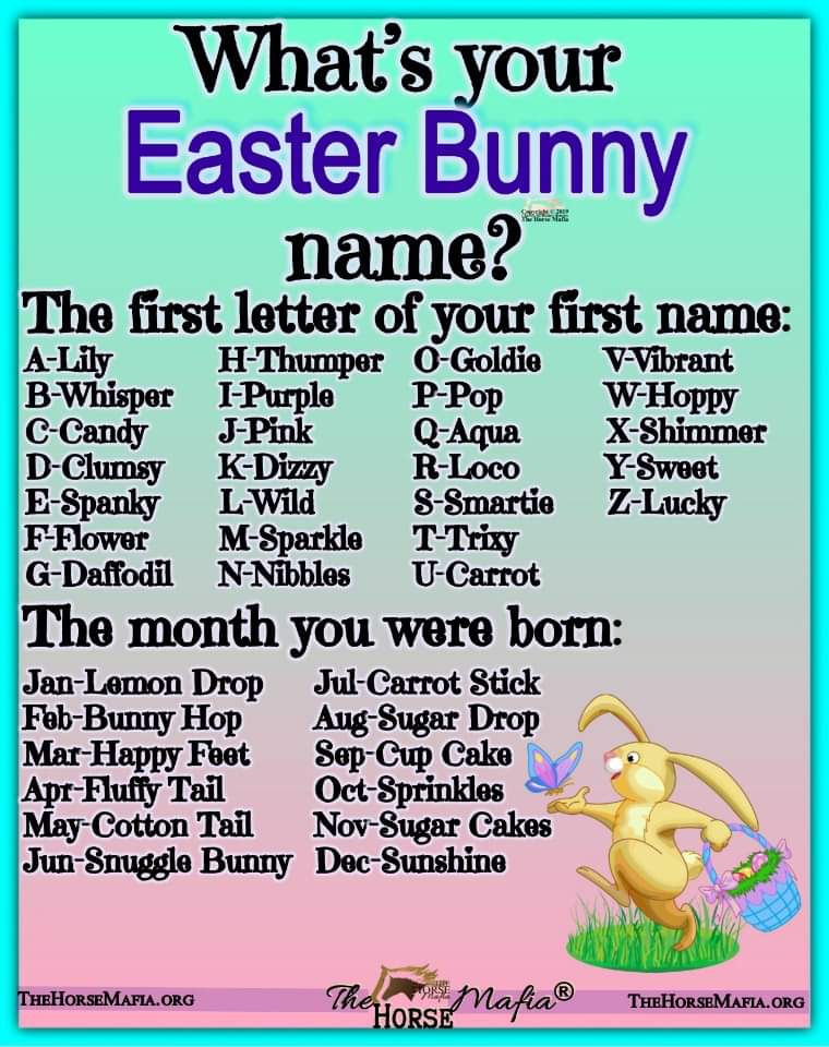 Easter Bunny name C08fc610