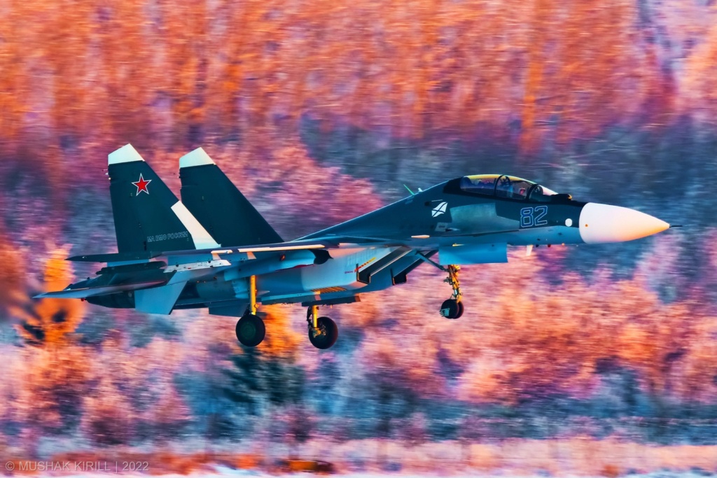 Su-30 for Russian Air Force #2 - Page 13 Su-30s12