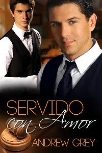 Saga Probando el amor (Andrew Grey) 02129