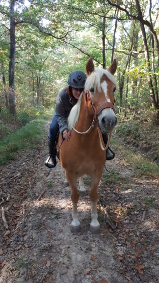 Dpt 77, 13 ans, Queltia Nina (Epona), jument haflinger, sauvée par Brunnhilde (Août 2017) - Page 6 20181014