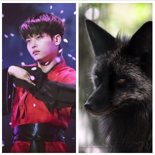 song minchan > uwu - Page 3 Fox10