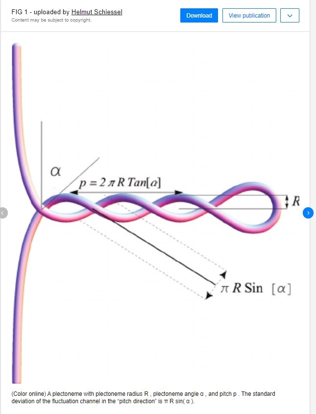 Helicity Space Plecto10