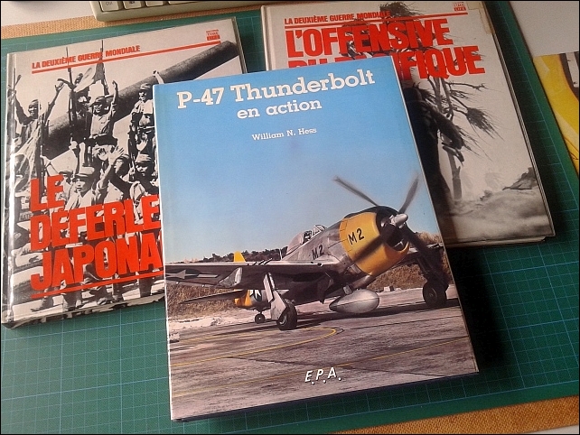 [Hasegawa] Le Thunderboldt Razorback sur le théâtre du Pacifique en 1943 20240919