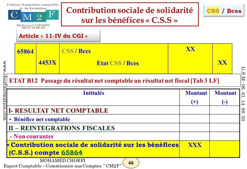 CONTRIBUTION SOCIALE DE SOLIDARITE SUR LE BENEFICE Css10