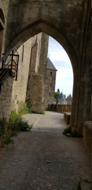 Carcassonne cité médiévale  20210615