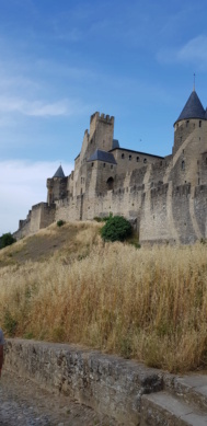 Carcassonne cité médiévale  20210616