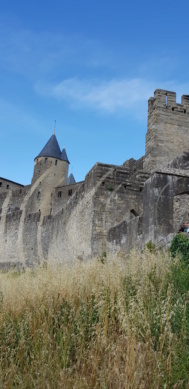 Carcassonne cité médiévale  20210617
