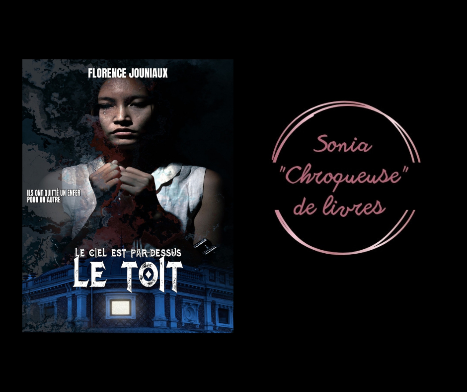 Le ciel est par-dessus le toit de Florence Jouniaux 20230113