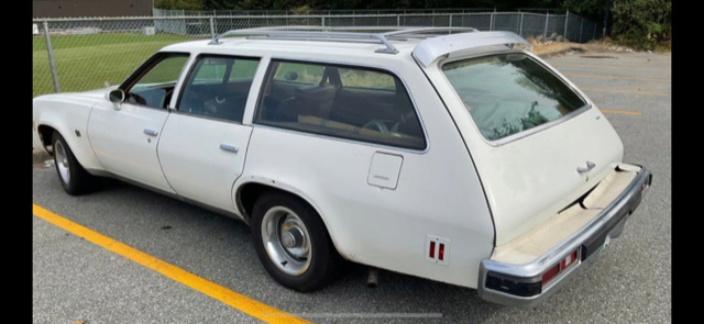 73-75 454 Chevelle station wagons R_dr_q10