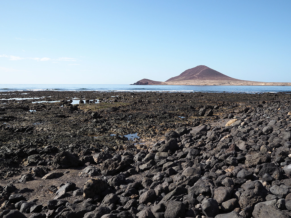 Carnet : Tenerife en Octobre Med110