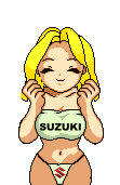 appelation des catégories des membres : votre participation est demandée - Page 3 Suzuki10