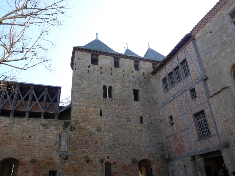 visite(cite carcassonne(06.03.2011) 914