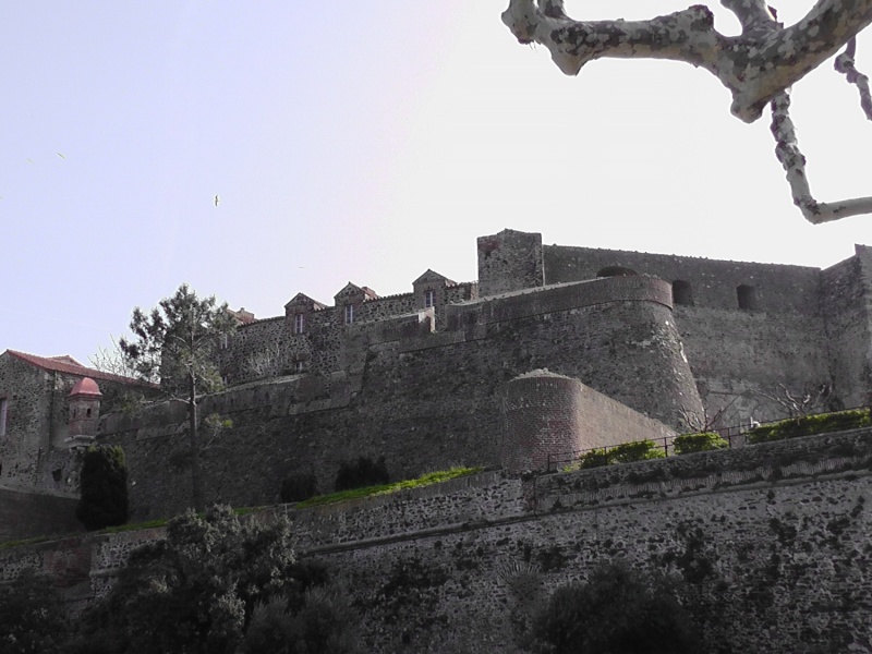 VISITE..... collioure..........26..3.2011 S1050012