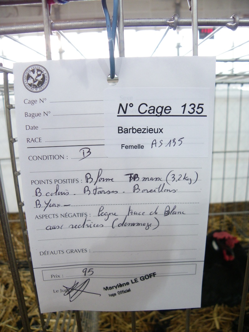 Exposition nationale d'aviculture : Rochefort le 26 et 27 février 2011 Barbez13