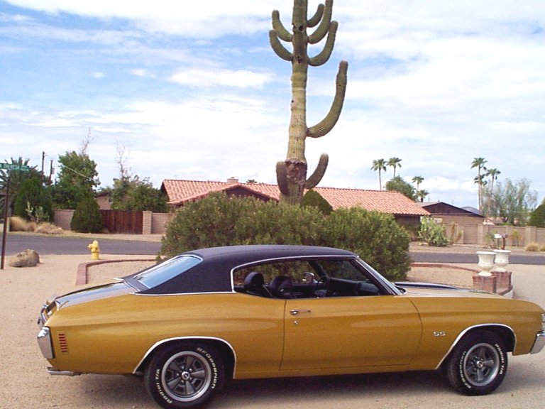 chevy - Chevelle Heavy Chevy Rs10