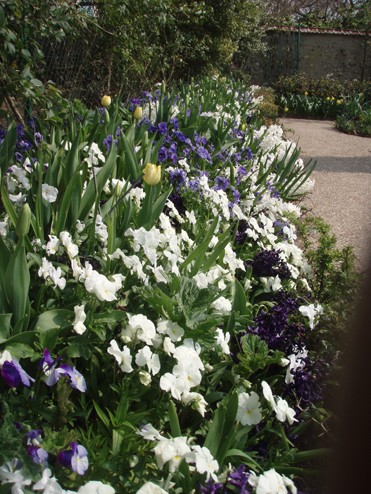 visite printanière et en couleurs dans les jardins de Claude Monet Blancb10