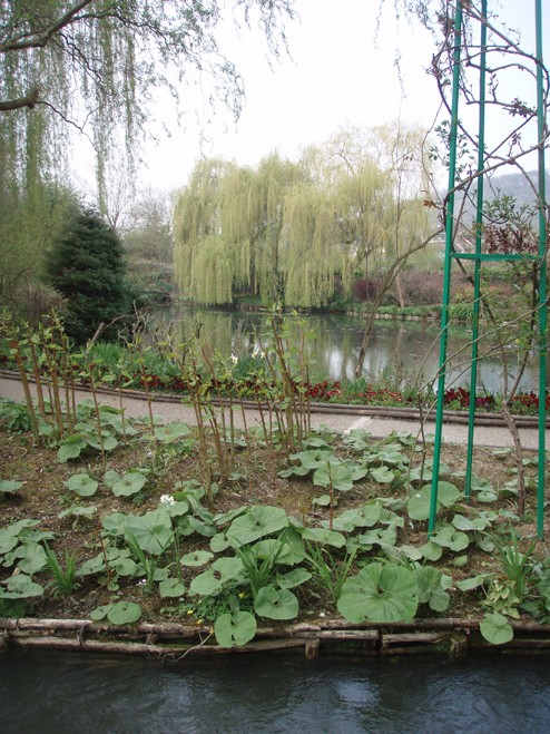 visite printanière et en couleurs dans les jardins de Claude Monet Jardin13