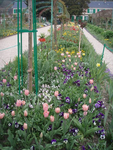 visite printanière et en couleurs dans les jardins de Claude Monet Rosevi10