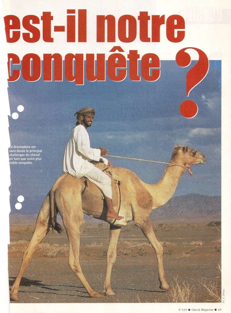 Pourquoi, pour vous, c'est "Sans équitation"? - Page 5 Numari12