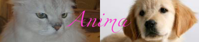 Zoologie & Animus