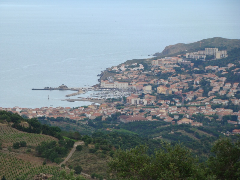 Balade au pays Cathare sur 3 jours Dsc03517