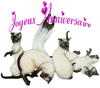 Anniversaire roselinemr Chat0110