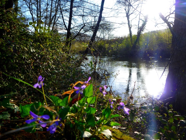 Concours photo d'avril - Page 2 Concou12