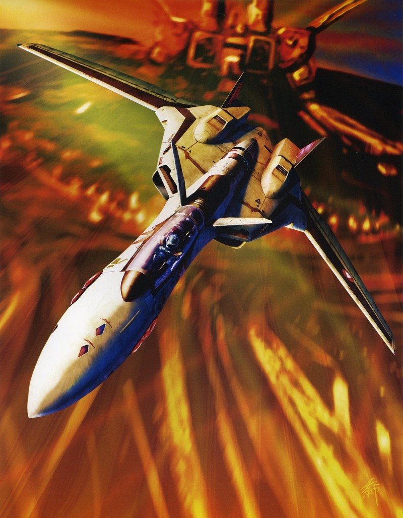 YF-19 (Macross Plus) Hasegawa 1/72 Yf19bi10