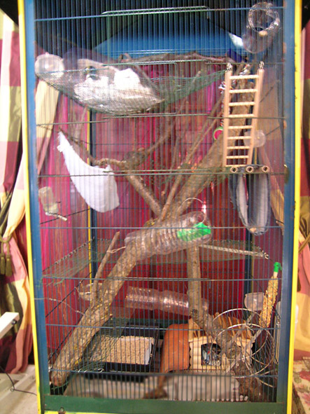 La cage de vos ratoux =) Cage11