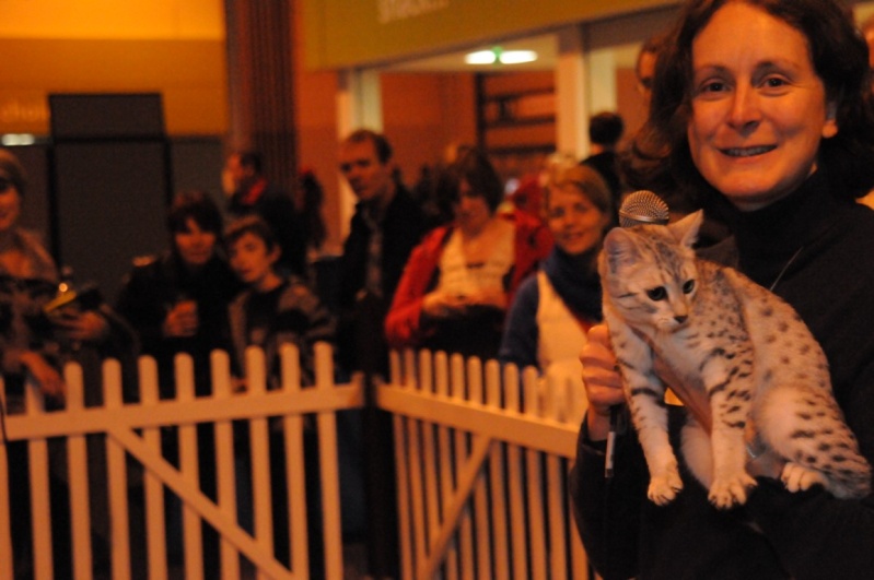 Supreme catshow de Birmingham 2010 Dsc_8320