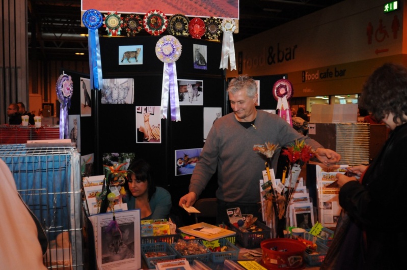 Supreme catshow de Birmingham 2010 Dsc_8323