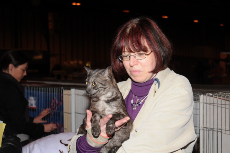 Supreme catshow de Birmingham 2010 Dsc_8512