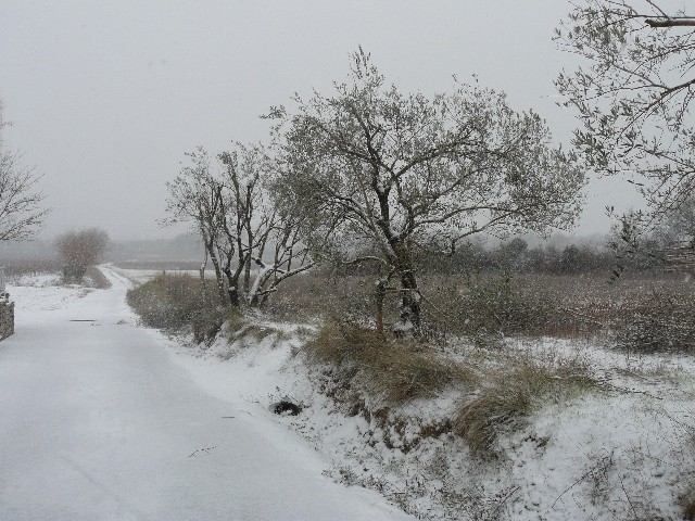 le gard sous la neige P1050911
