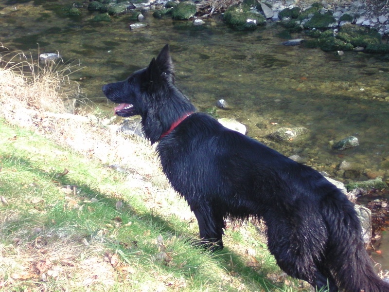 2 folles dans l'eau Nyanga et sa copine Yoko 00310