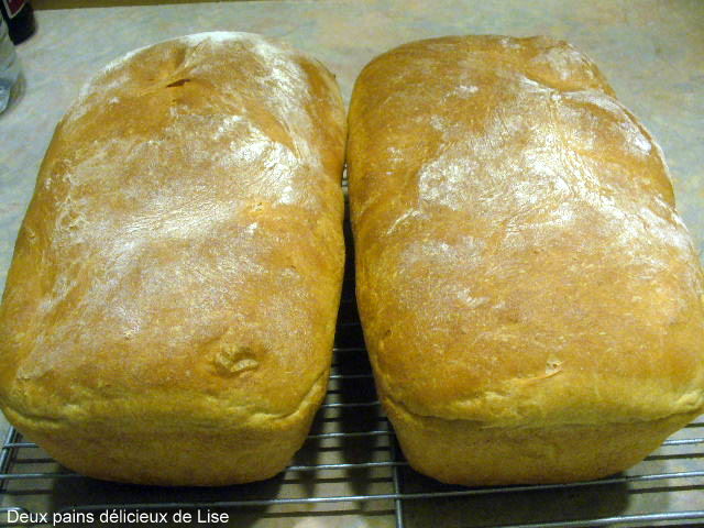 Deux pains délicieux au robot boulanger de Lise Deux_p10